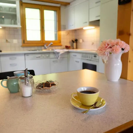 Steinrueti 15 Apartman Wildhaus